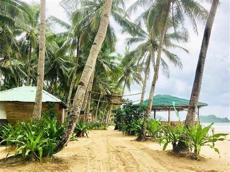 catian beach resort|Catian beach Reviews, Deals & Photos 2023 .